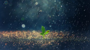 如何落实好《“十三五”国家知识产权保护和运用规划》？中科院专家这样建议